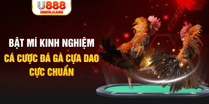 sv88tv casino hồ tràm có cho người việt vào không