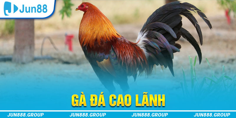 sv88tv tai game vua bai ve may tinh