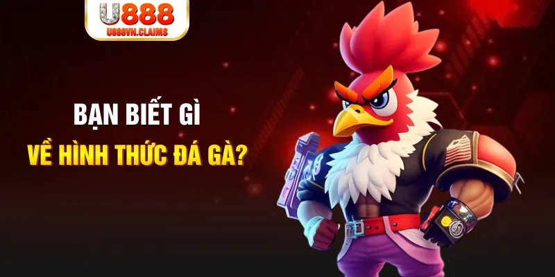sv88tv đăng nhập liêng tặng tiền