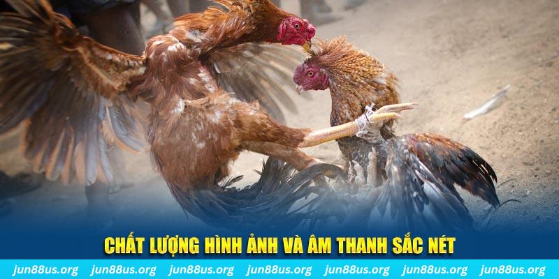 sv88tv tai game danh bai mien phi ve may tinh