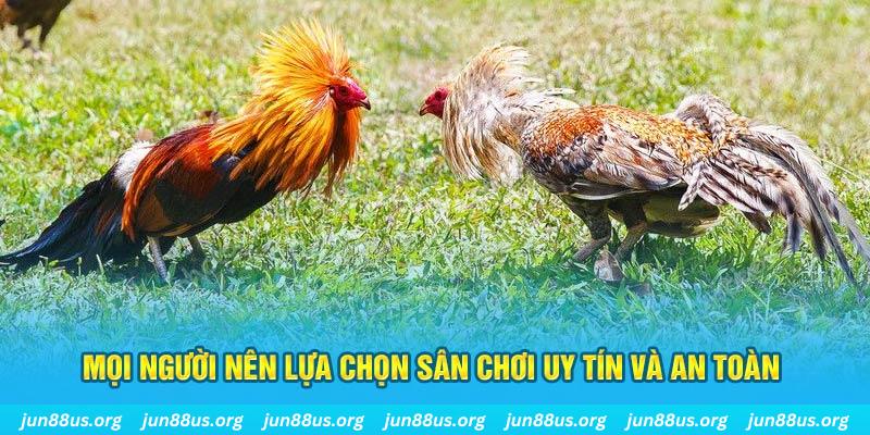 sv88tv đăng nhập poker 2025