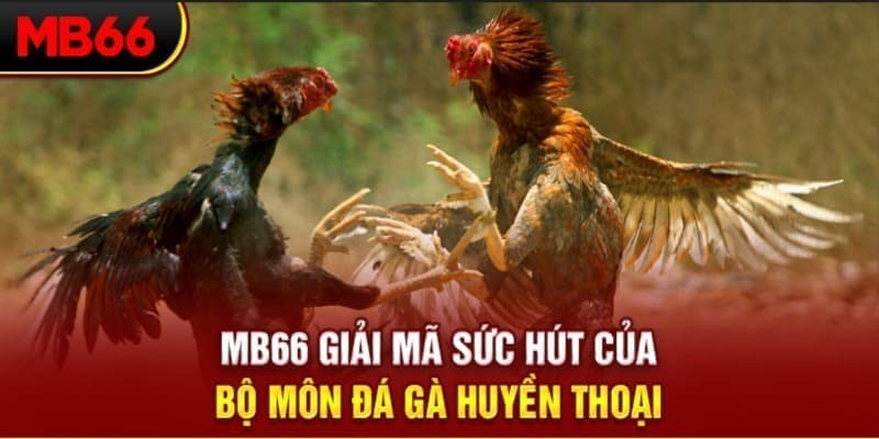 sv88tv xổ số đài bắc