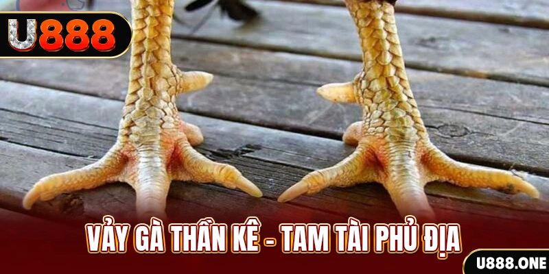 sv88tv so xo mien trung