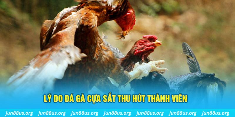 sv88tv nổ hũ ăn bao nhiêu