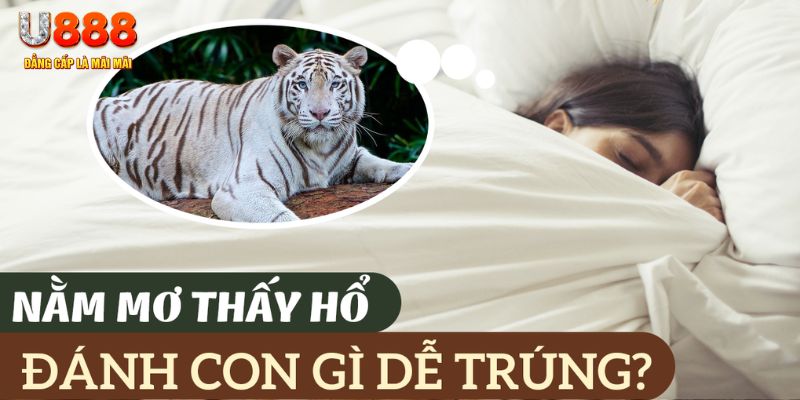 sv88tv nohu .mx nổ hủ là gì