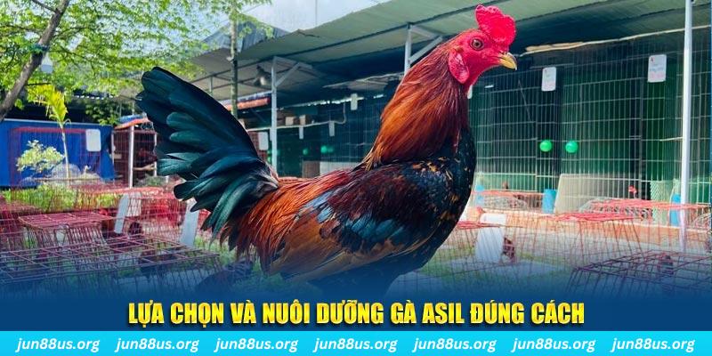 sv88tv nổ hũ thần tài là gì