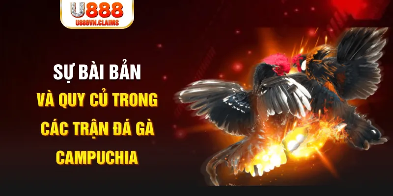 sv88tv game xếp bài trên máy tính