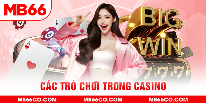sv88tv chổi lông gà