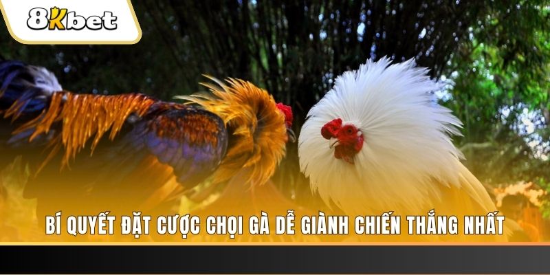 sv88tv nổ hũ chơi như thế nào