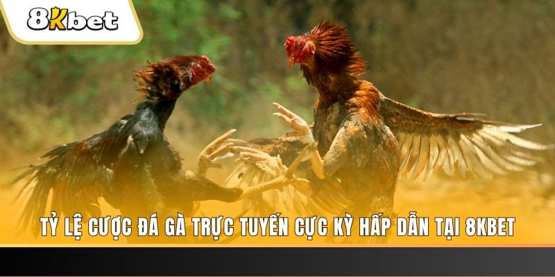 sv88tv xổ số miền bắc chủ nhật