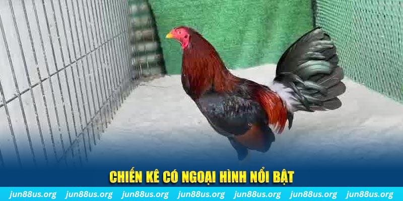 sv88tv qq88 bắn cá